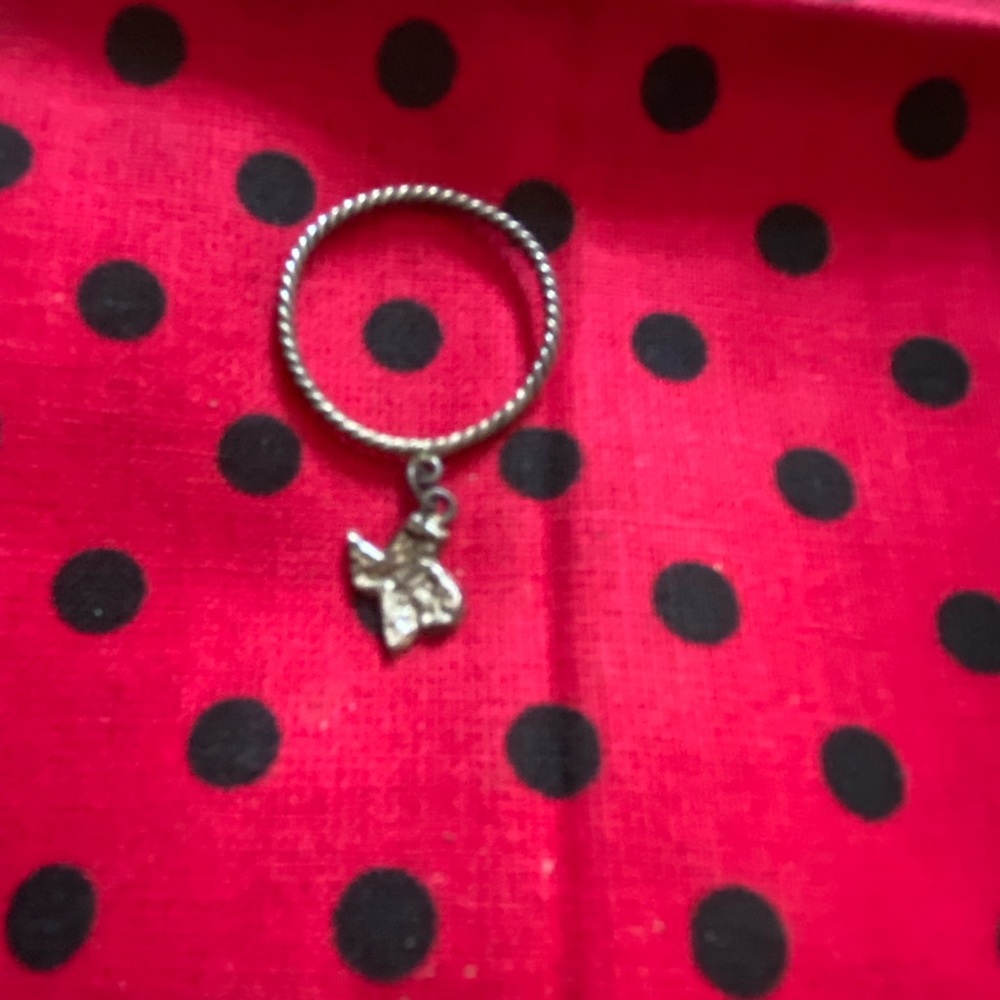 Vintage Silver Texas Dangle Ring - image 1